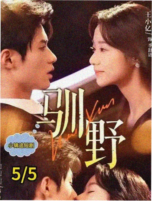 潮汐之下 电视剧海报
